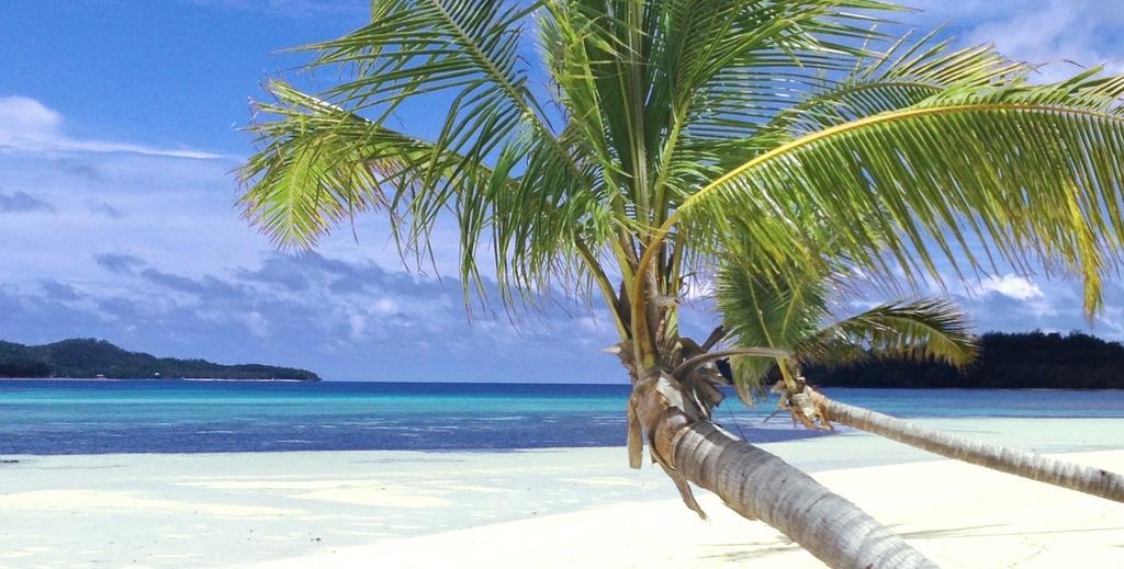 Coconut Beach Resort Tavewa Island Exterior photo
